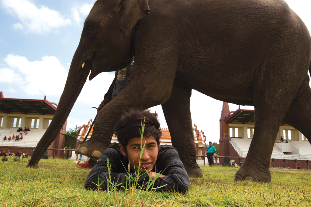 Elephant Tourism