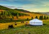 Mongolia, Gher, Yurt